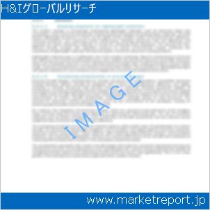 市場と産業調査レポートのイメージ
